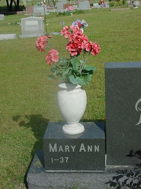 Mary Ann Pierceson