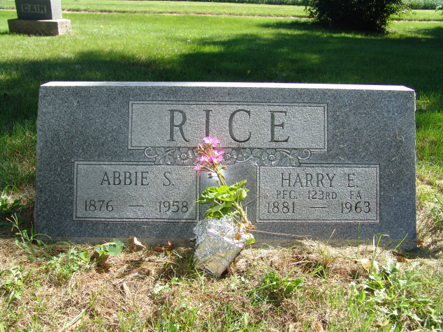 Abbie Rice