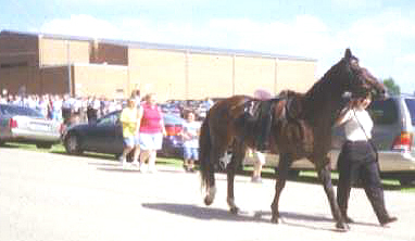 Riderless Horse 