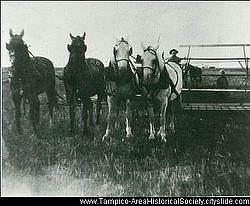 Shere - Wheat Cutting