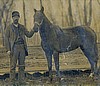 Oliver McKenzie and Horse