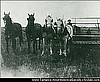 Shere - Wheat Cutting